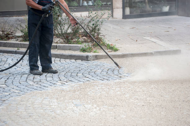 Best Dumpster Area Cleaning  in Lytle, TX